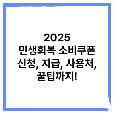 2025 민생회복 소비쿠폰 신청, 지급, 사용처