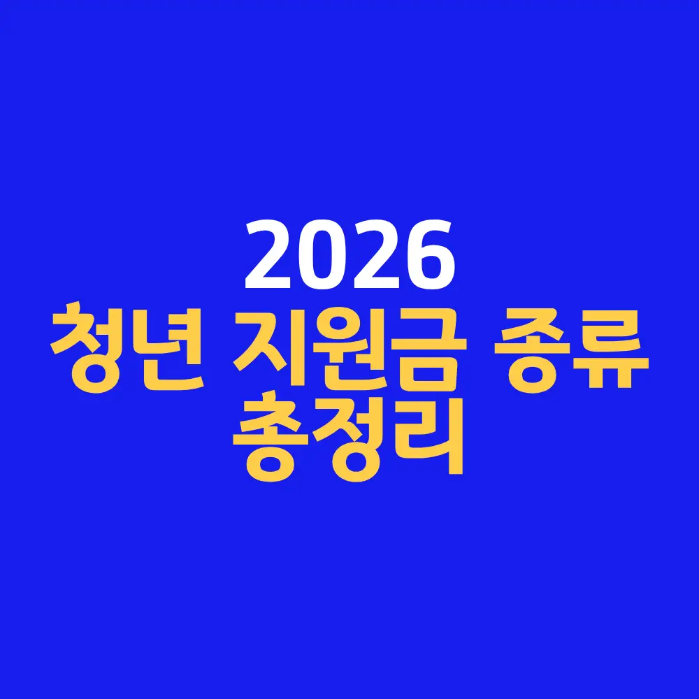 청년 지원금 종류 총정리 2026