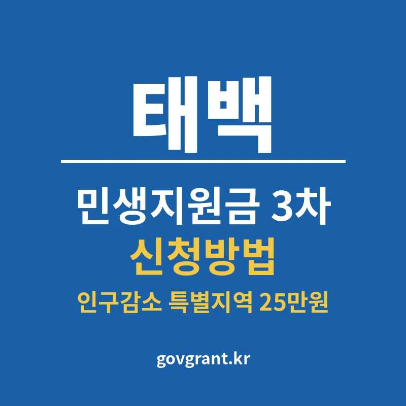 태백 민생지원금 3차 신청방법